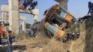 thailand - china - train - crane