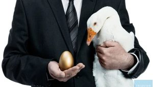 the goose that laid the golden eggs - aesop fable