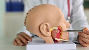tongue