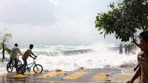 tsunami2
