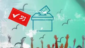 vote