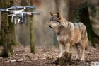 wolf drone india